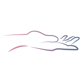 PARTES DEL CUERPO_MANOS